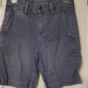 American Eagle Outfitters Blue Flat Front Shorts